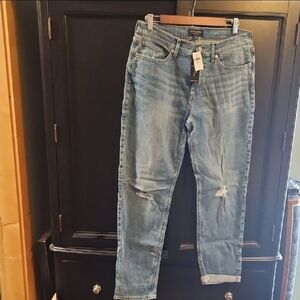 Banana Republic Women's Girlfriend Light Blue Denim Jeans